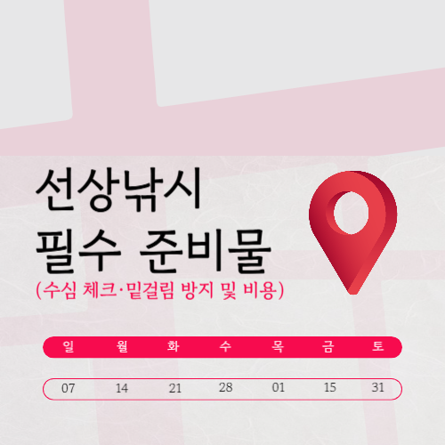 선상낚시 필수 준비물｜수심 체크·밑걸림 방지 및 비용