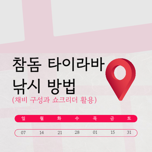 참돔 타이라바 낚시 방법 채비 구성과 쇼크리더 활용 가이드