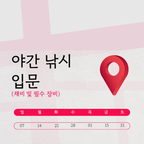 야간 낚시 필수 장비 안전·채비·성공 팁까지