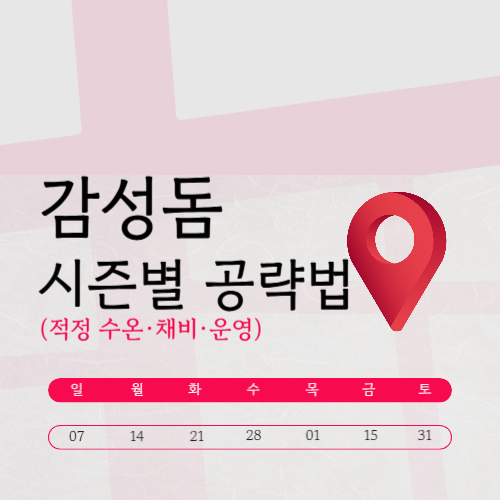 감성돔 시즌별 공략법 (적정 수온·채비·운영) 올인원 가이드